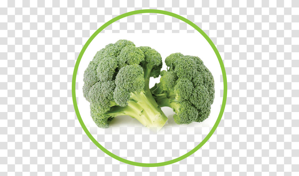 Broccoli Md Circle Broccoli, Vegetable, Plant, Food, Rug Transparent Png