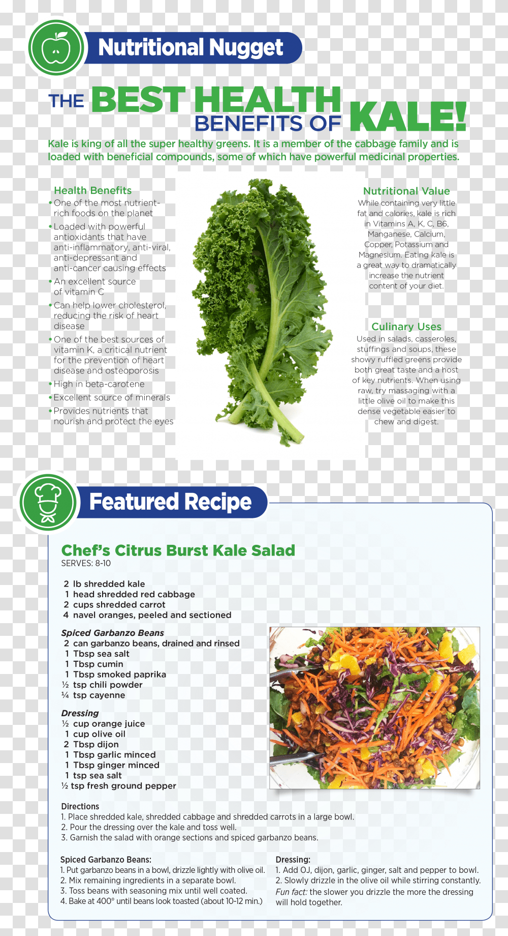 Broccoli, Plant, Kale, Cabbage, Vegetable Transparent Png