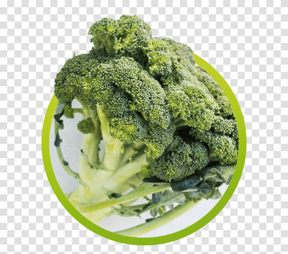 Broccoli, Plant, Vegetable, Food, Pineapple Transparent Png