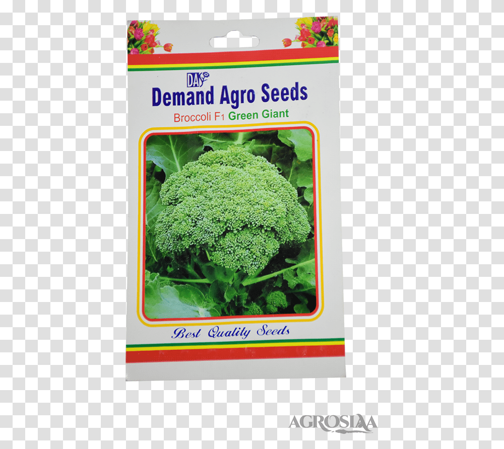 Broccoli, Plant, Vegetable, Food, Poster Transparent Png