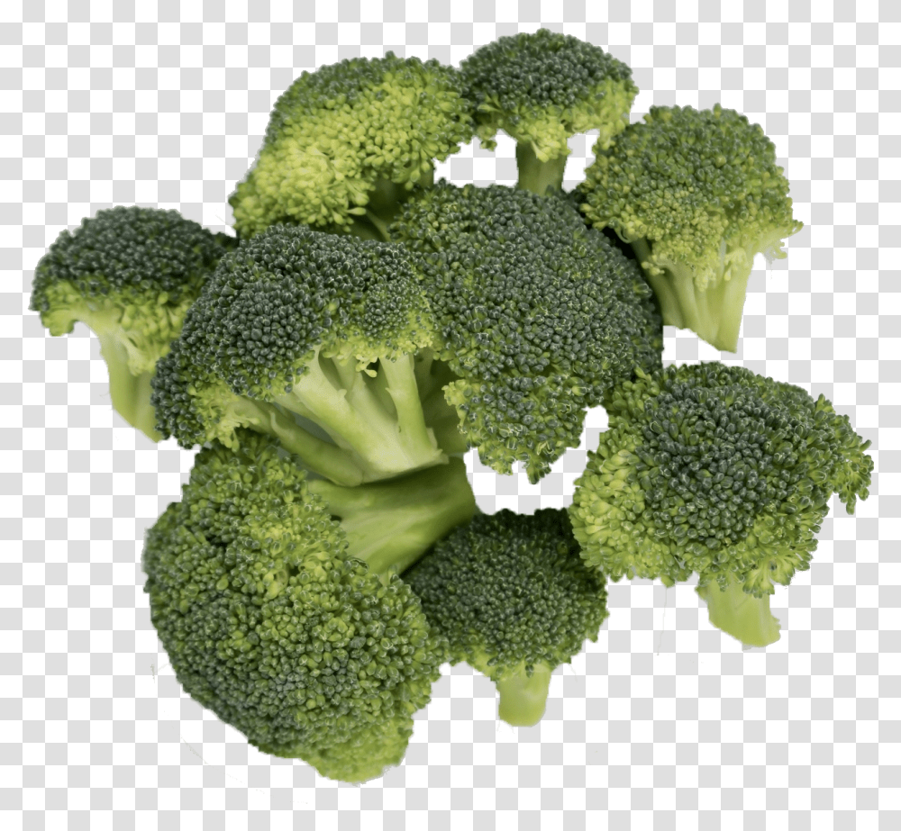 Broccoli, Plant, Vegetable, Food Transparent Png