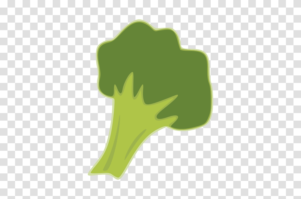 Broccoli, Plant, Vegetable, Food Transparent Png