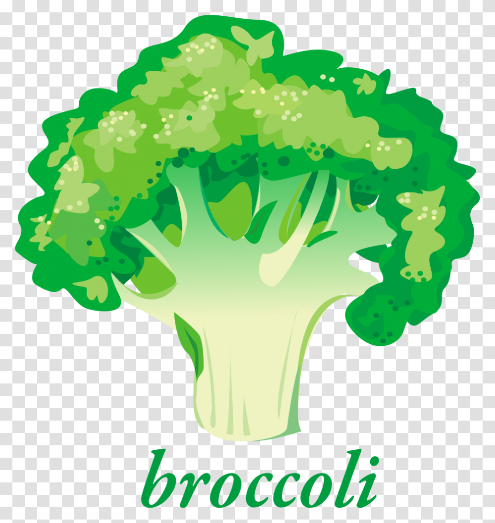 Broccoli, Plant, Vegetable, Food Transparent Png