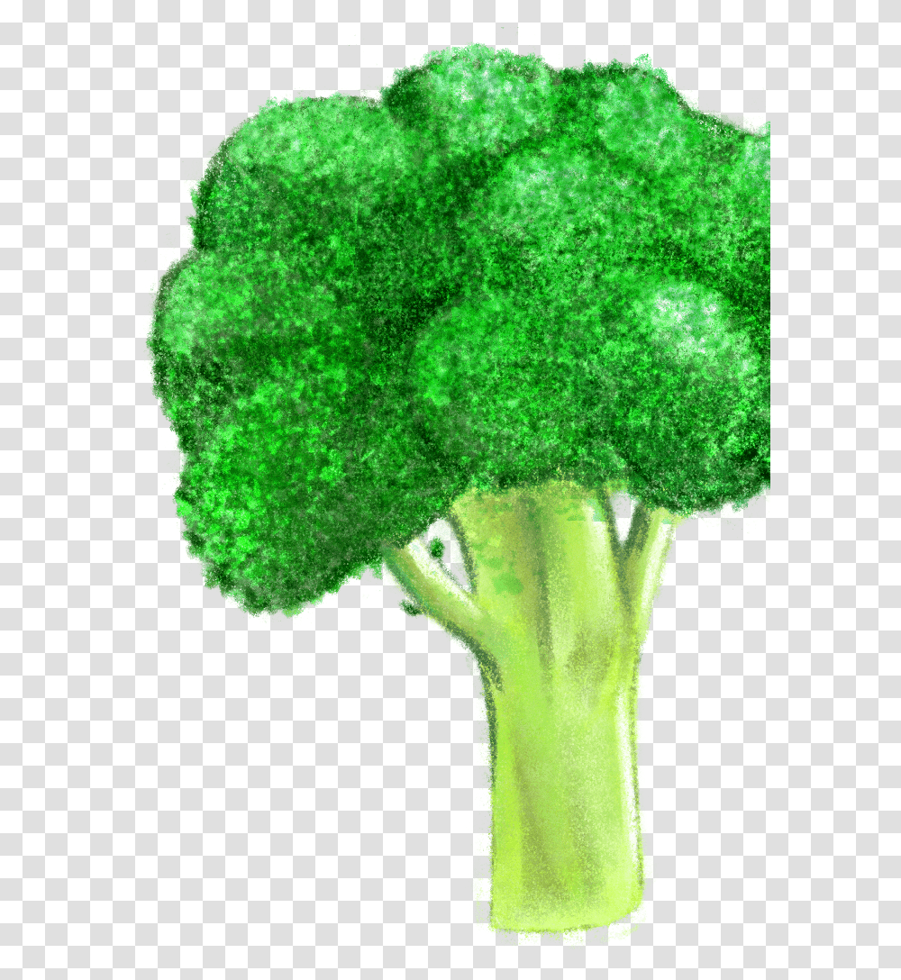 Broccoli, Plant, Vegetable, Food Transparent Png