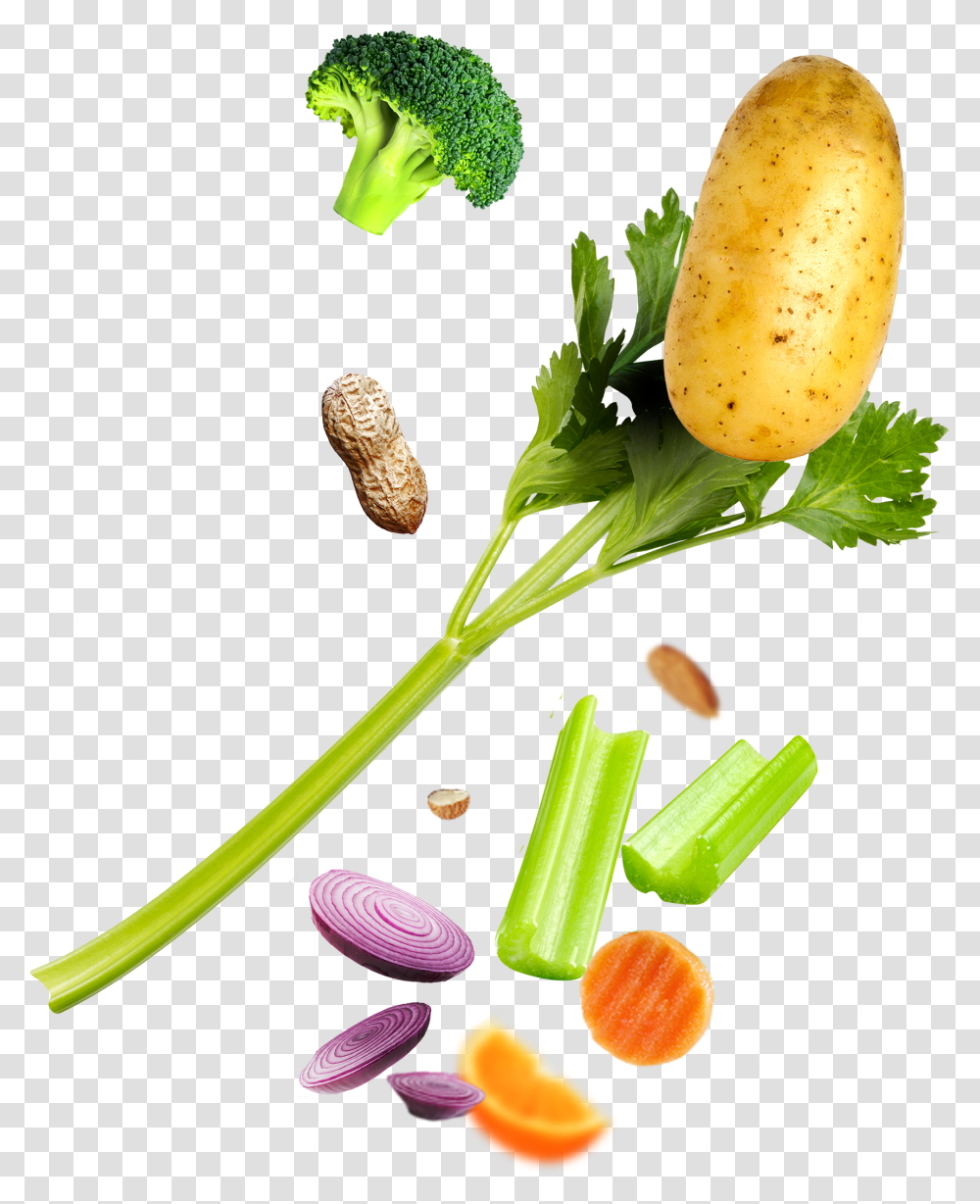 Broccoli, Plant, Vegetable, Food, Vase Transparent Png