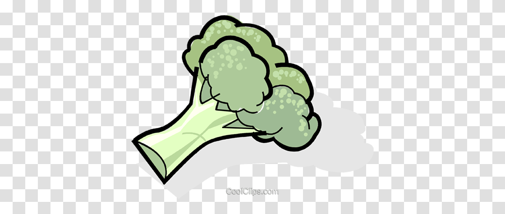 Broccoli Royalty Free Vector Clip Art Illustration, Plant, Cauliflower, Vegetable, Food Transparent Png