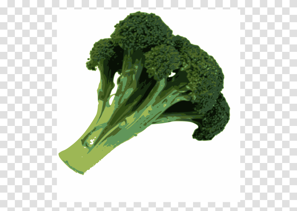 Broccoli Svg Clip Arts, Plant, Vegetable, Food Transparent Png