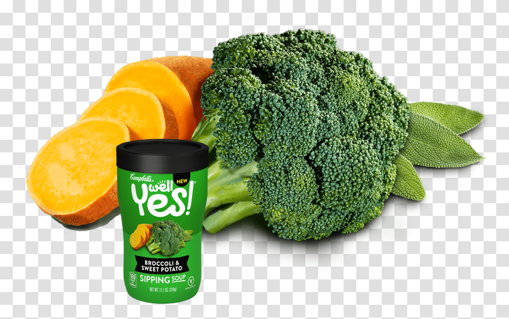 Broccoli Sweet Potato Sipping Soup Broccoli, Plant, Vegetable, Food, Orange Transparent Png
