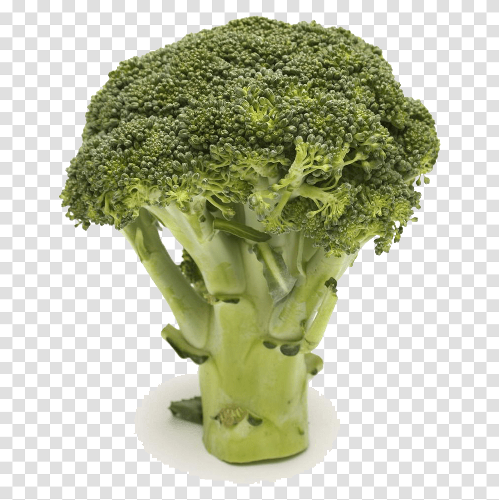 Broccoli Vegetable Food Health Cauliflower Hiding Broccoli In Milk, Plant Transparent Png