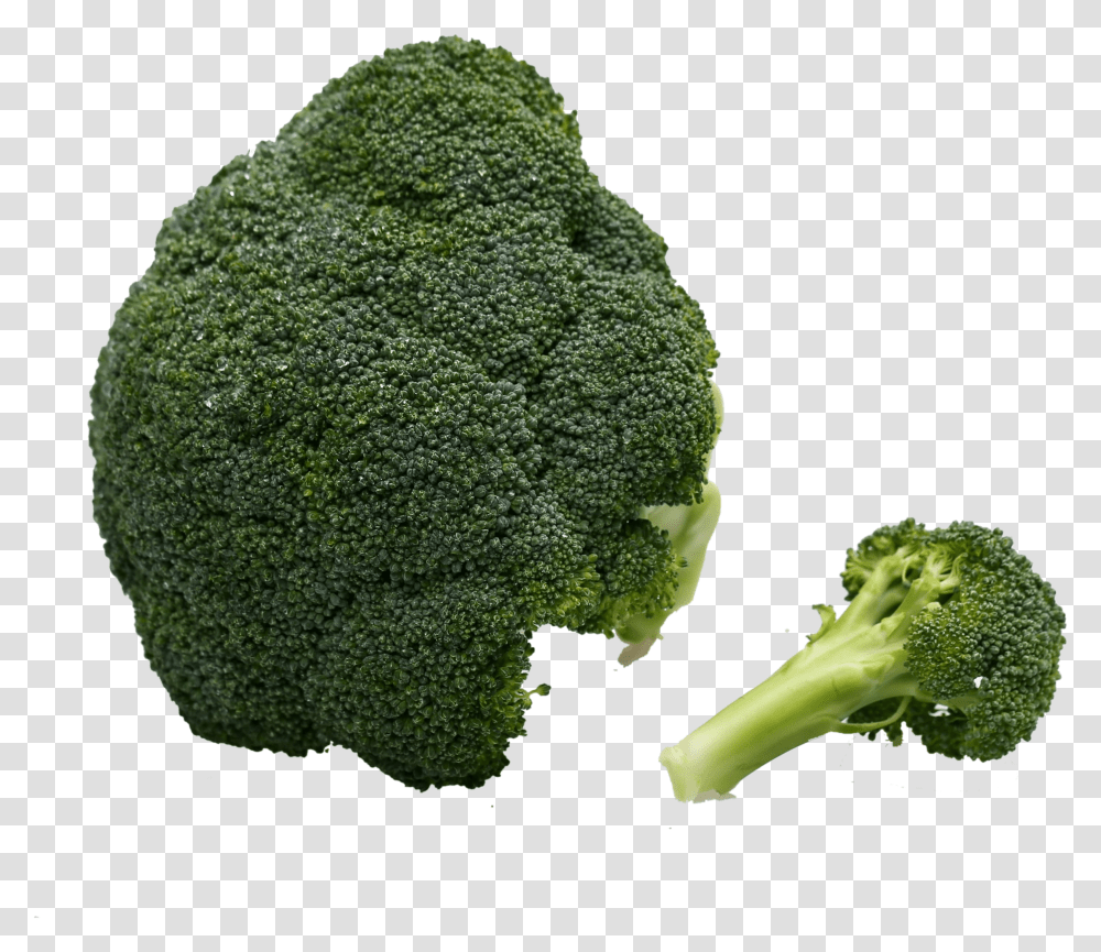 Broccoli Vegetable Immune System Vegetable Transparent Png