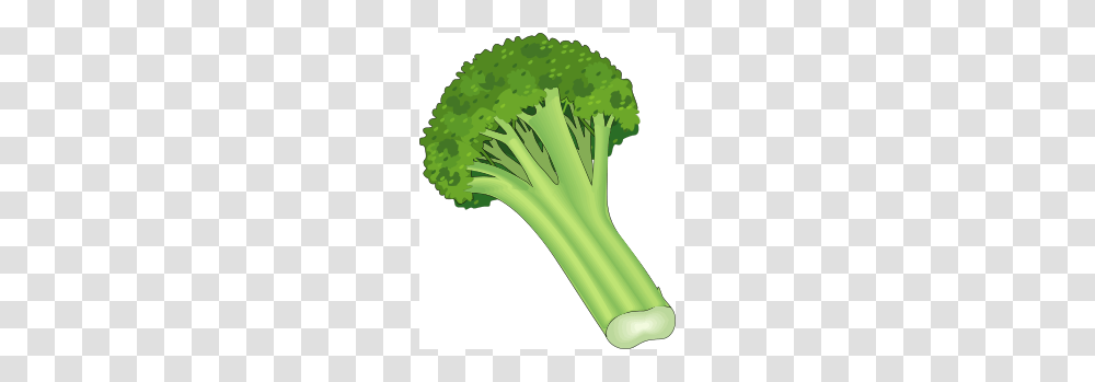 Broccoli, Vegetable, Plant, Food, Banana Transparent Png