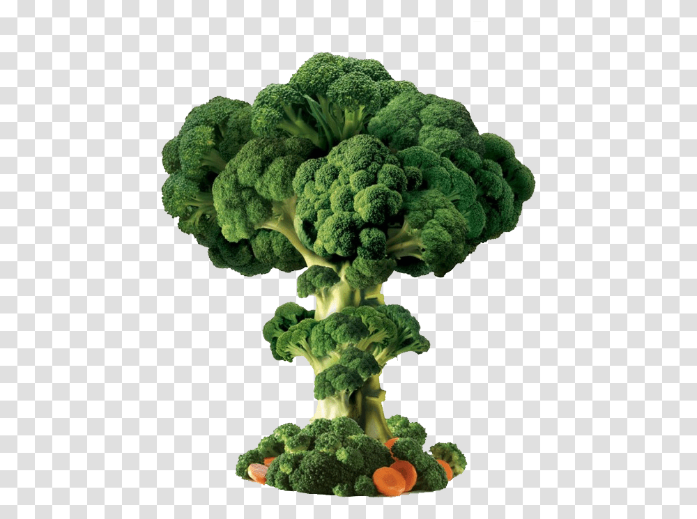 Broccoli, Vegetable, Plant, Food, Cauliflower Transparent Png