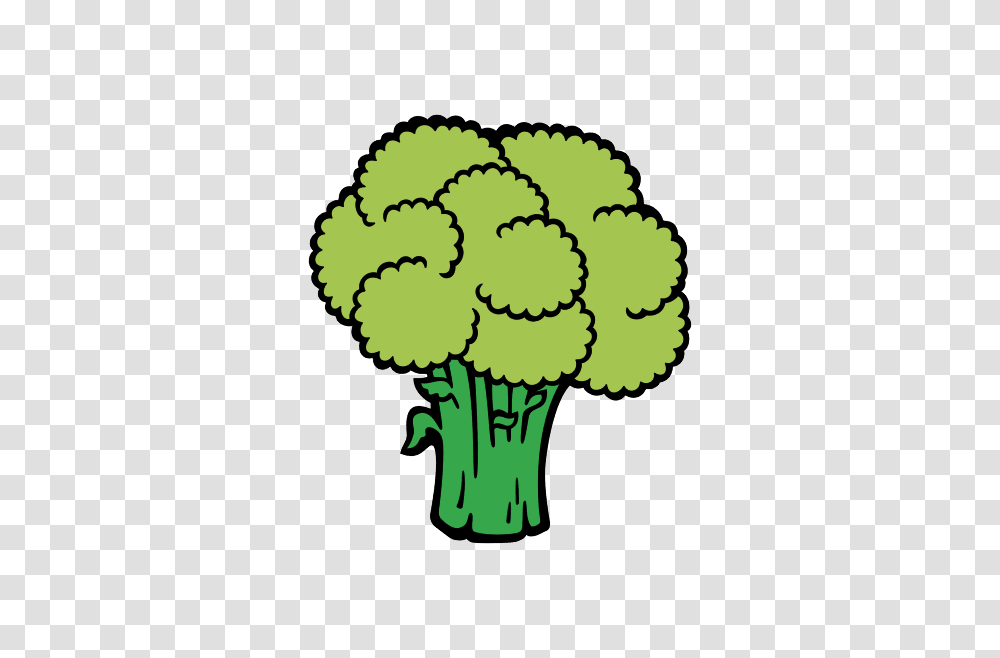 Broccoli, Vegetable, Plant, Food, Cauliflower Transparent Png