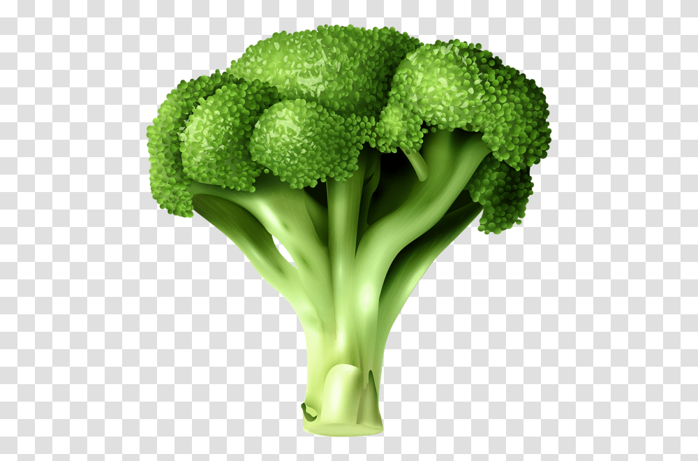 Broccoli, Vegetable, Plant, Food, Cauliflower Transparent Png
