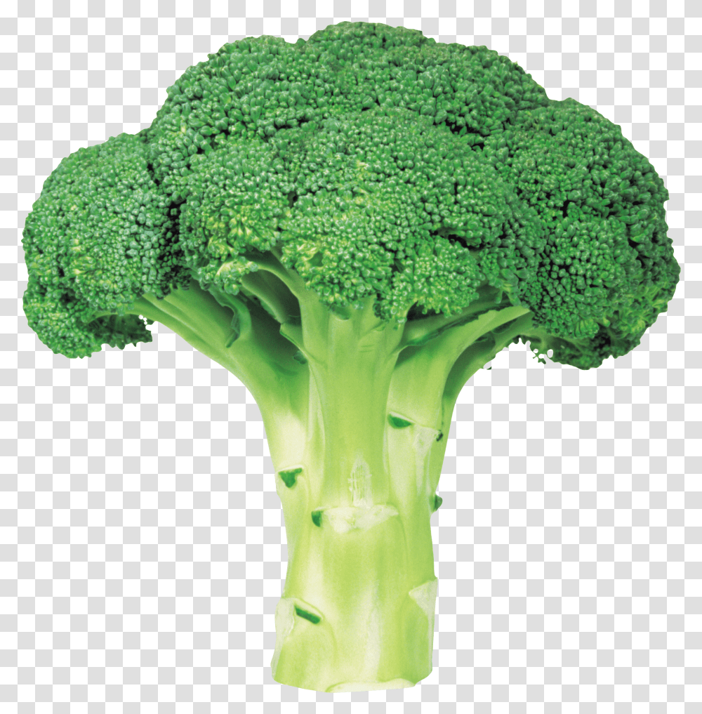 Broccoli, Vegetable, Plant, Food, Cross Transparent Png
