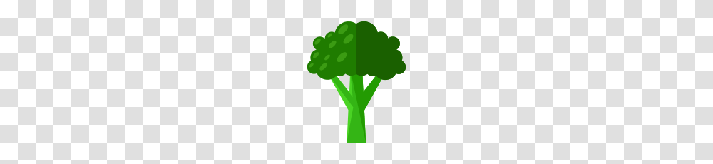 Broccoli, Vegetable, Plant, Food, Cross Transparent Png