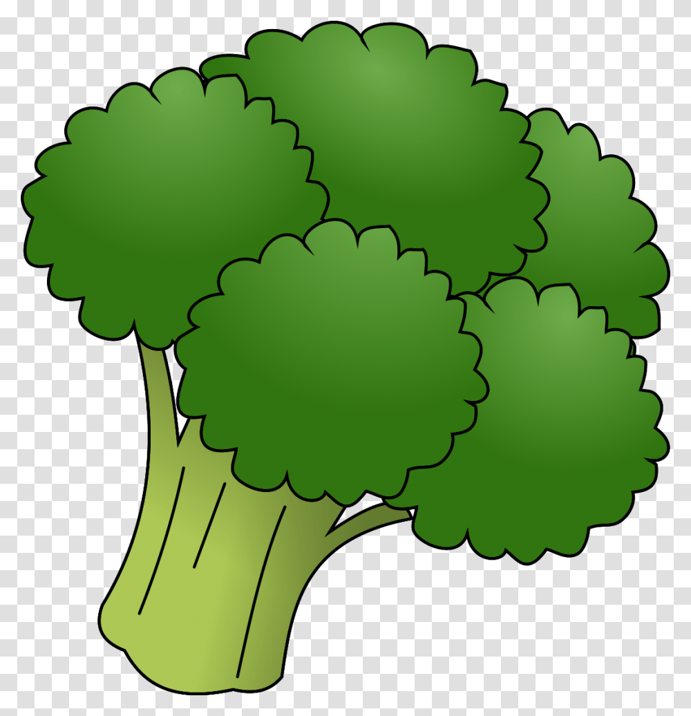 Broccoli, Vegetable, Plant, Food, Green Transparent Png
