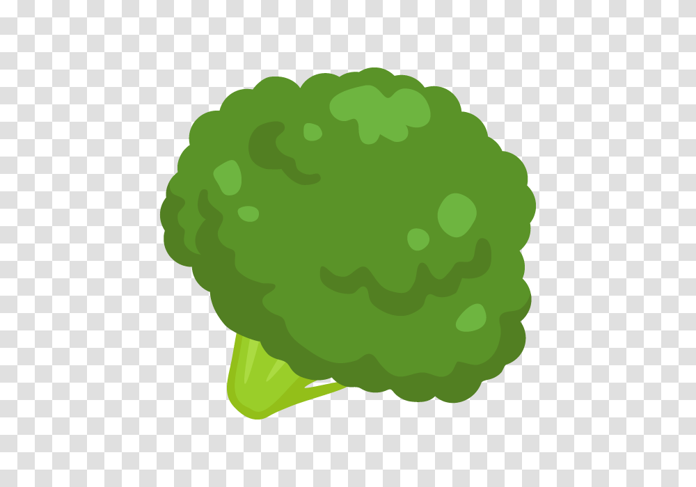 Broccoli, Vegetable, Plant, Food, Green Transparent Png