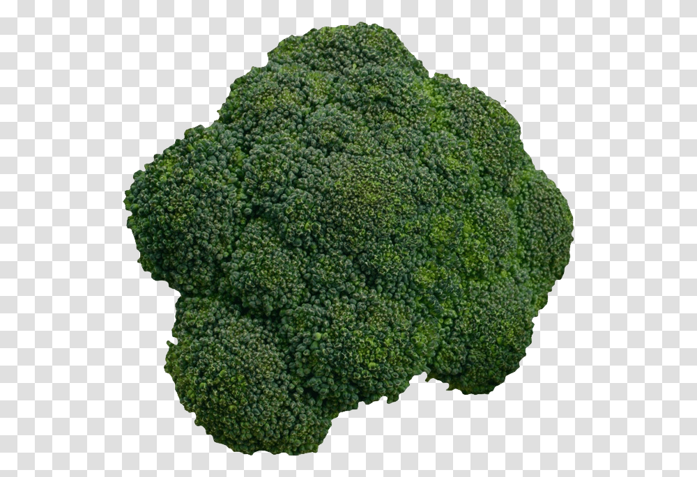 Broccoli, Vegetable, Plant, Food, Rug Transparent Png
