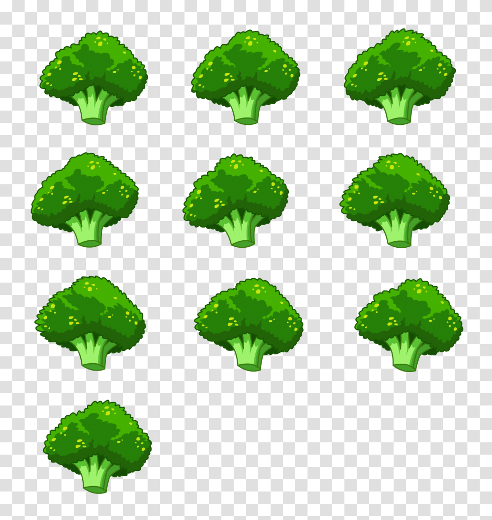 Broccoli, Vegetable, Plant, Food, Rug Transparent Png