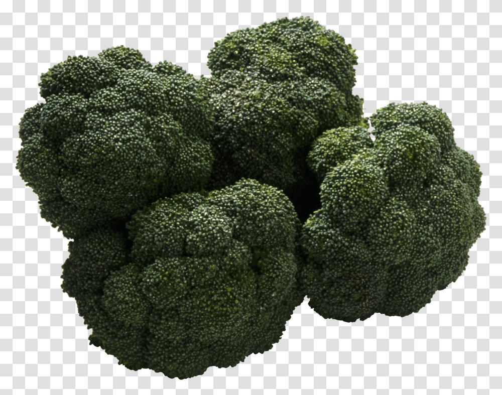 Broccoli, Vegetable, Plant, Food, Rug Transparent Png