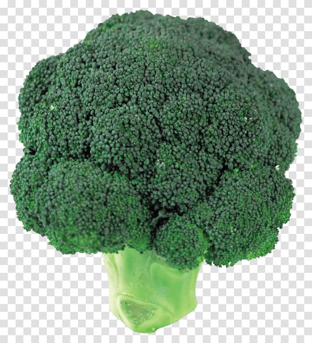 Broccoli, Vegetable, Plant, Food, Rug Transparent Png