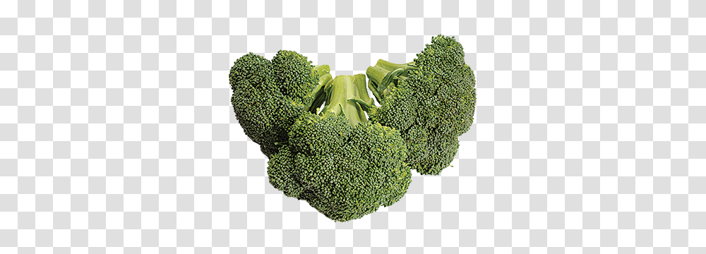 Broccoli, Vegetable, Plant, Food, Rug Transparent Png