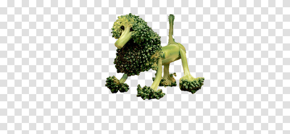Broccoli, Vegetable, Plant, Food, Toy Transparent Png