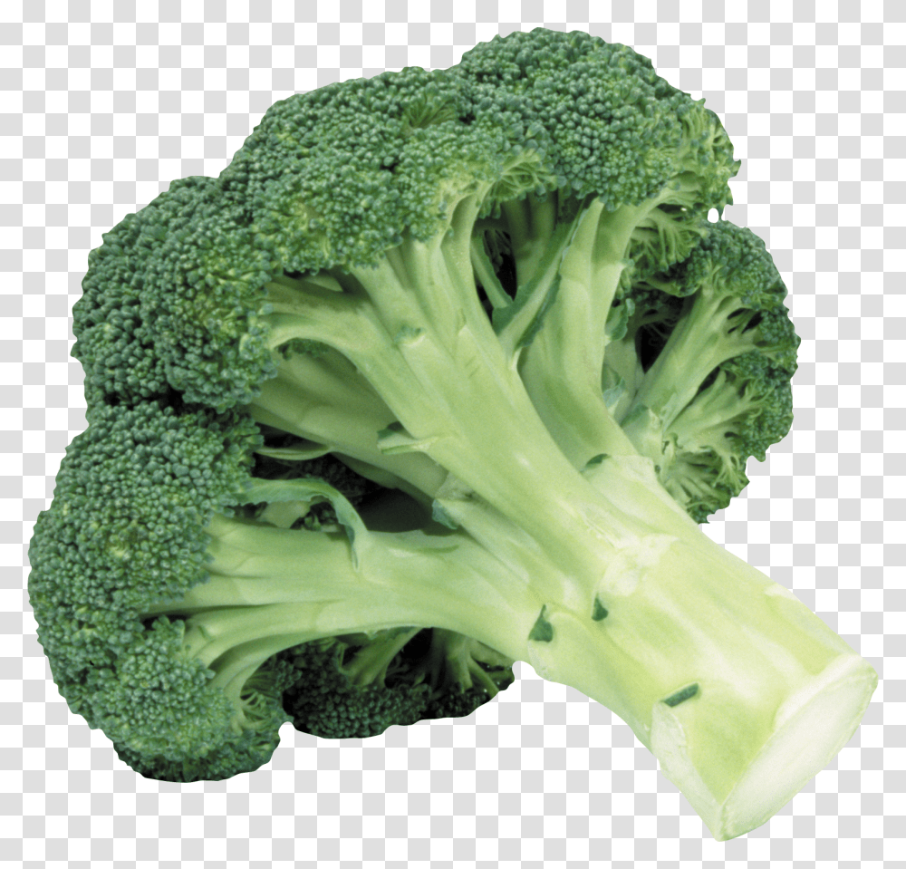 Broccoli, Vegetable, Plant, Food Transparent Png