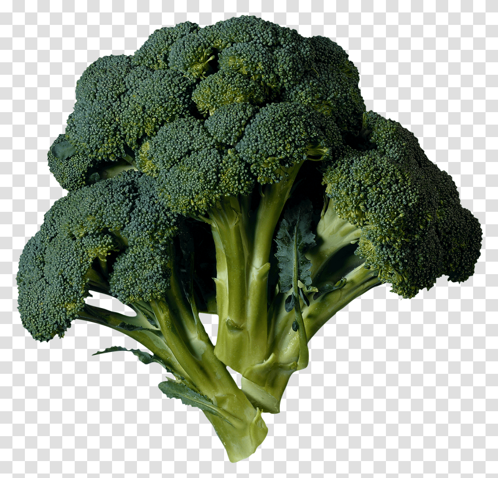 Broccoli, Vegetable, Plant, Food Transparent Png