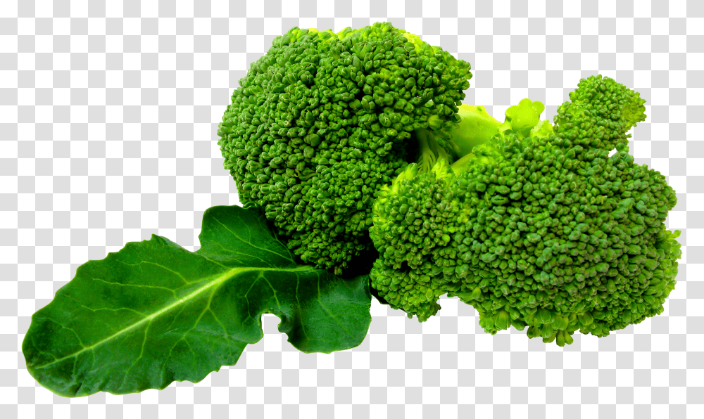 Broccoli, Vegetable, Plant, Food Transparent Png