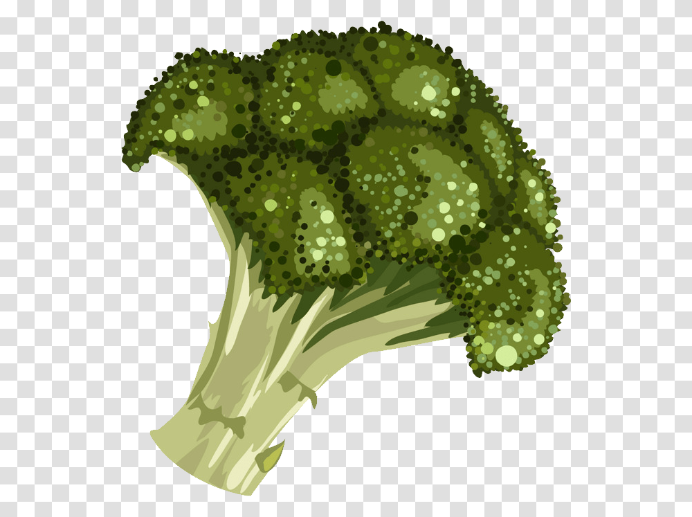 Broccoli, Vegetable, Plant, Food Transparent Png