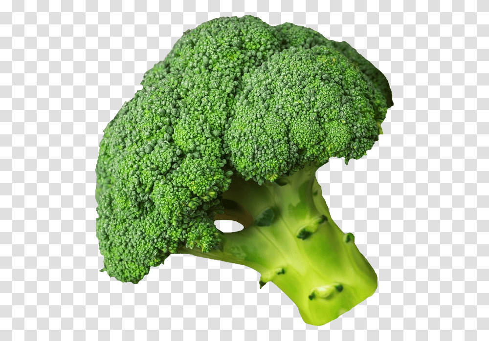 Broccoli, Vegetable, Plant, Food Transparent Png