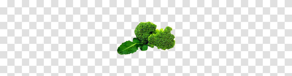 Broccoli, Vegetable, Plant, Food Transparent Png