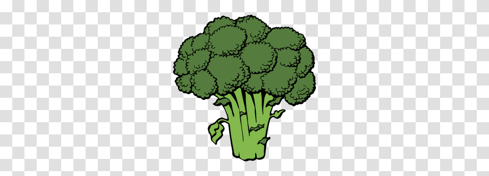 Broccoli, Vegetable, Plant, Food Transparent Png