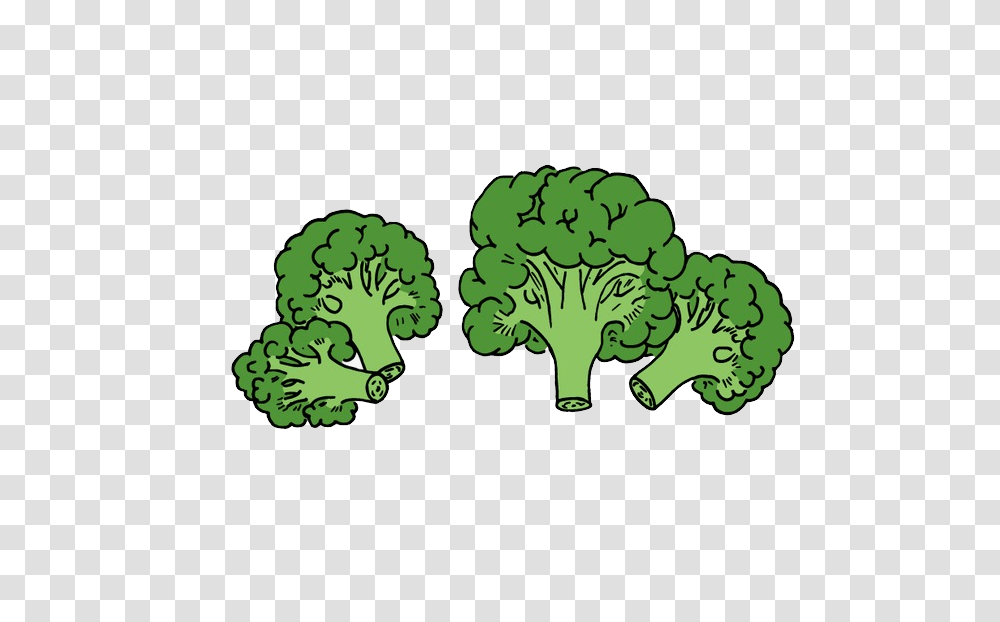 Broccoli, Vegetable, Plant, Food Transparent Png