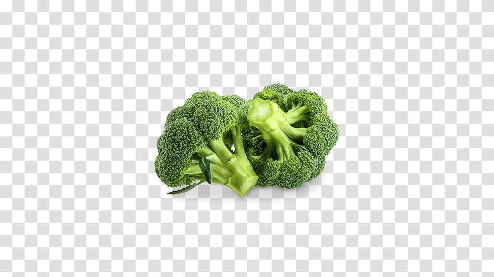 Broccoli, Vegetable, Plant, Food Transparent Png