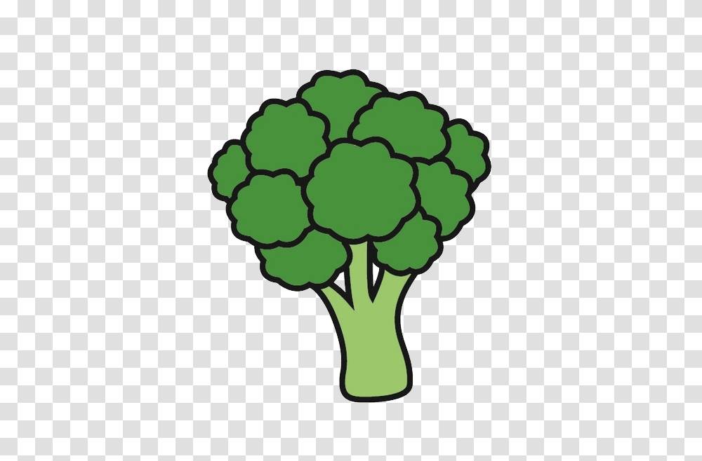 Broccoli, Vegetable, Plant, Food Transparent Png