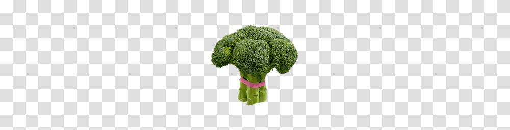 Broccoli, Vegetable, Plant, Food Transparent Png