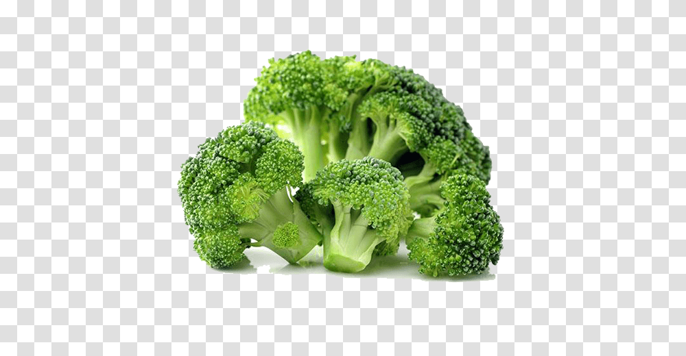 Broccoli, Vegetable, Plant, Food Transparent Png