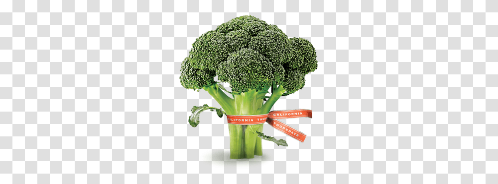 Broccoli, Vegetable, Plant, Food Transparent Png