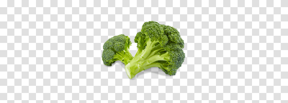 Broccoli, Vegetable, Plant, Food Transparent Png