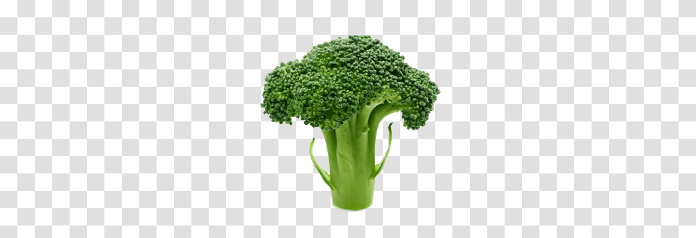 Broccoli, Vegetable, Plant, Food Transparent Png