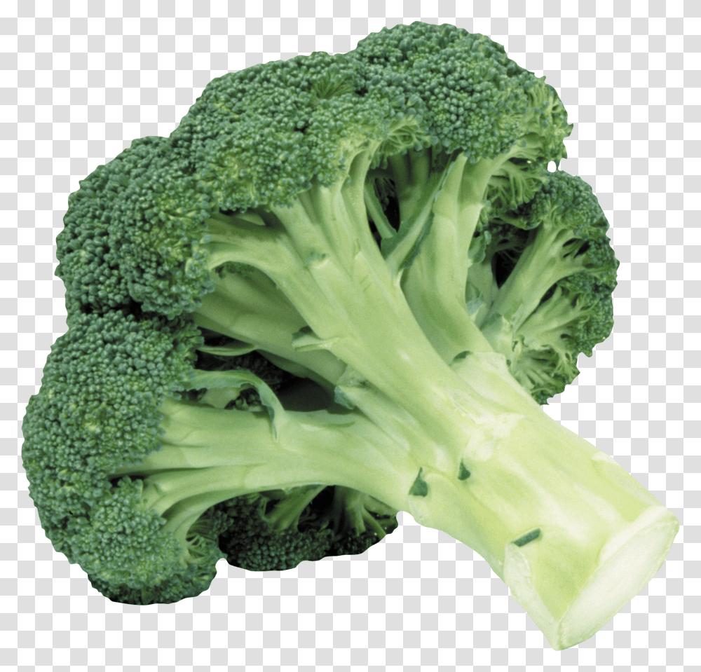 Broccoli, Vegetable, Plant, Food Transparent Png