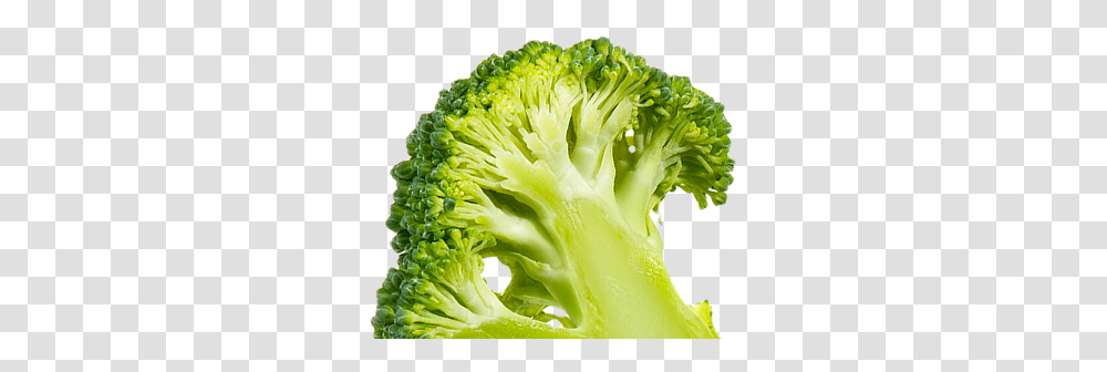 Broccoli, Vegetable, Plant, Food Transparent Png