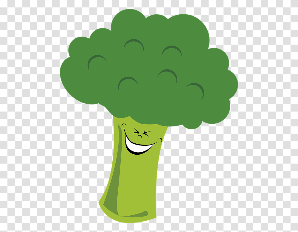 Broccoli, Vegetable, Plant, Food Transparent Png