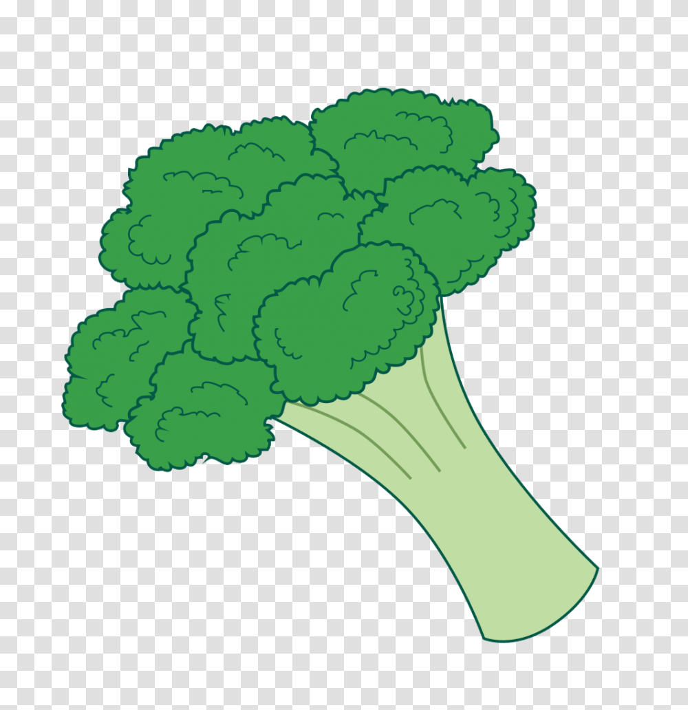Broccoli, Vegetable, Plant, Food Transparent Png