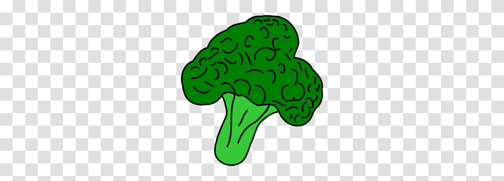 Broccoli, Vegetable, Plant, Food Transparent Png
