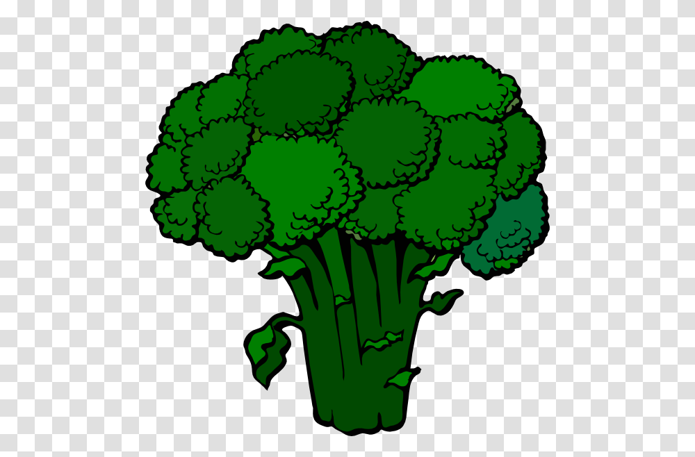 Broccoli, Vegetable, Plant, Food Transparent Png