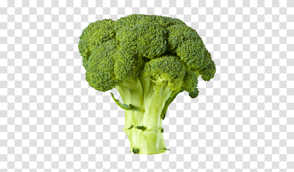 Broccoli, Vegetable, Plant, Food Transparent Png